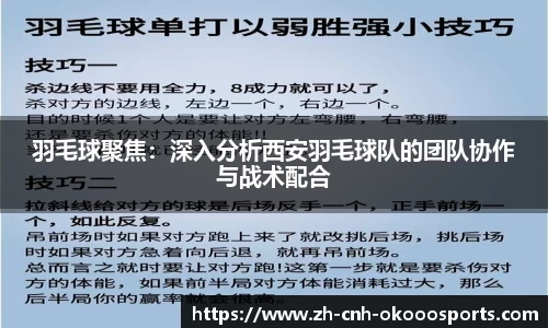 羽毛球聚焦：深入分析西安羽毛球队的团队协作与战术配合